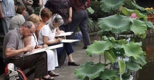 遠嫁新加坡，我該如何給父母養老