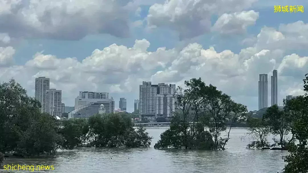 新規劃官宣！跨海長島、混合城市、地下城……未來的新加坡也太科幻了吧