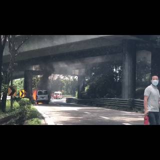 新加坡接连出现五场大火,乌节路大酒店、最大财神庙被烧