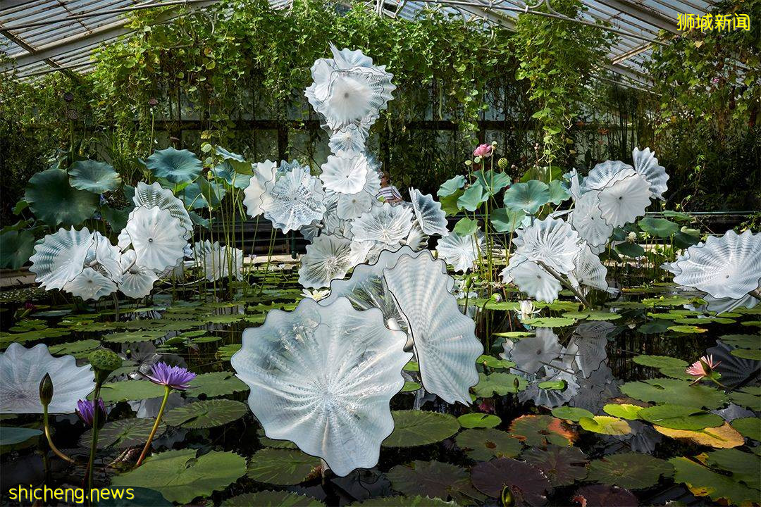 【周末去哪】夜間探險露營、植物園音樂會！海鮮自助$13.9起、周大福珠寶促銷、高島屋美妝4折