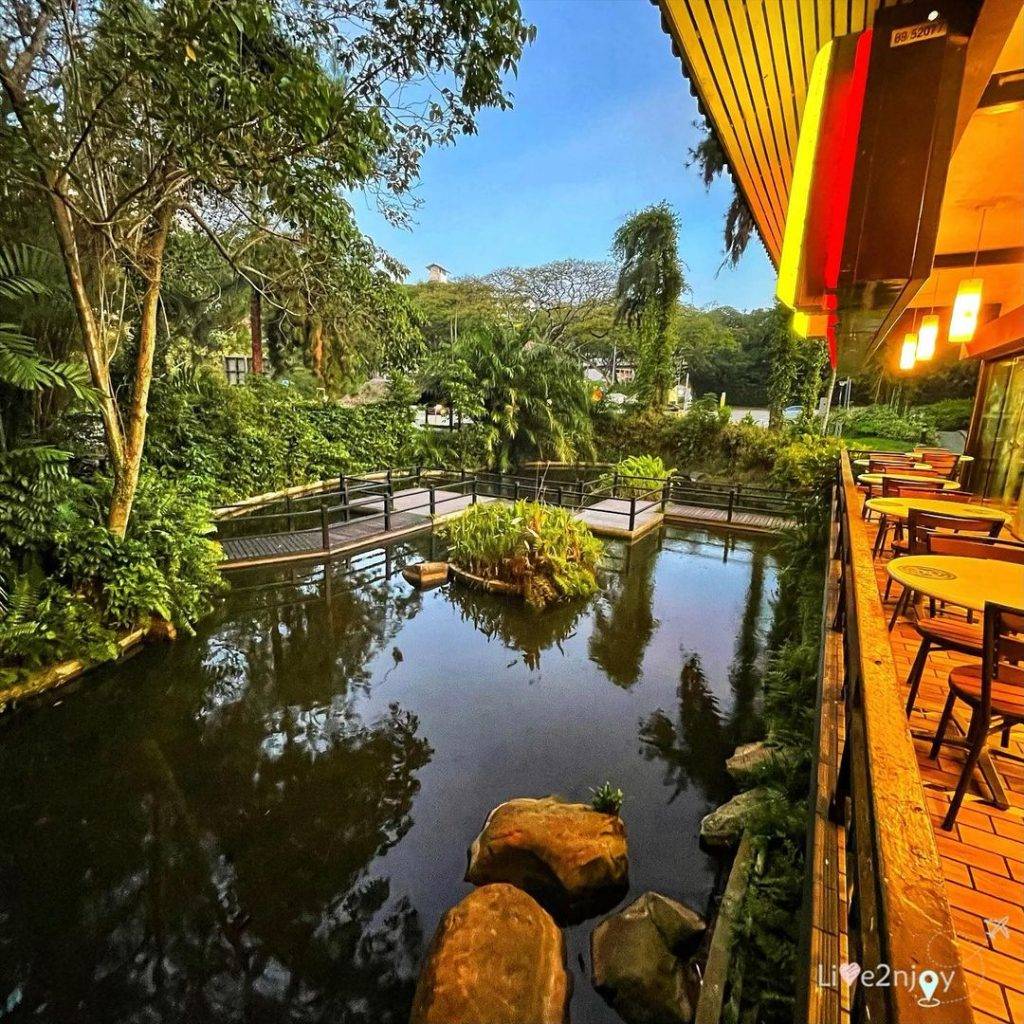 本地最美麥當勞“Queensway”打卡📷繁盛樹叢+綠蔭植物+靜谧池塘、靓"綠"風景線🌳