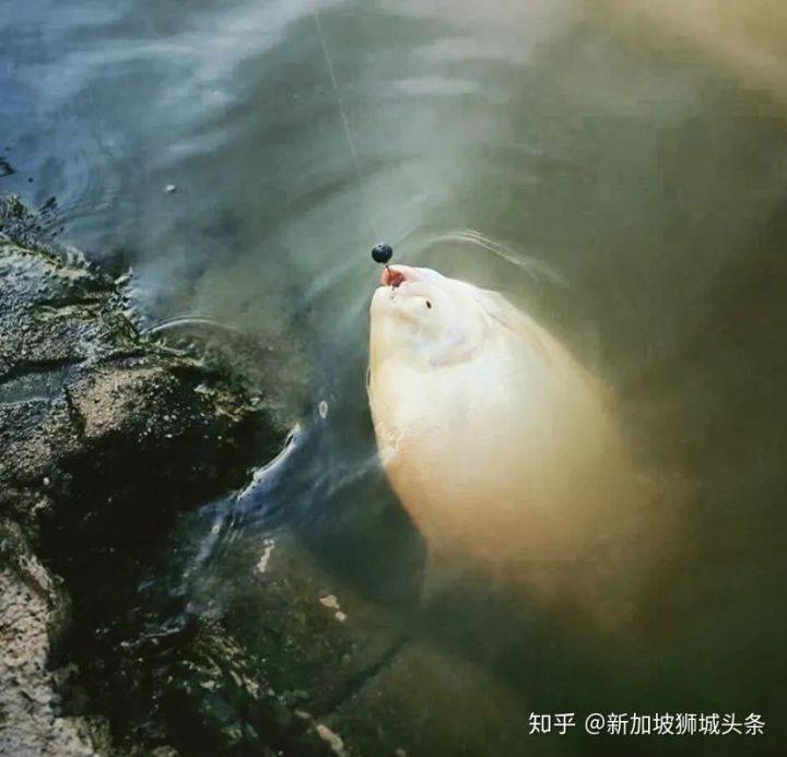 旅行的意義—攝影攻略之巴西立地鐵站