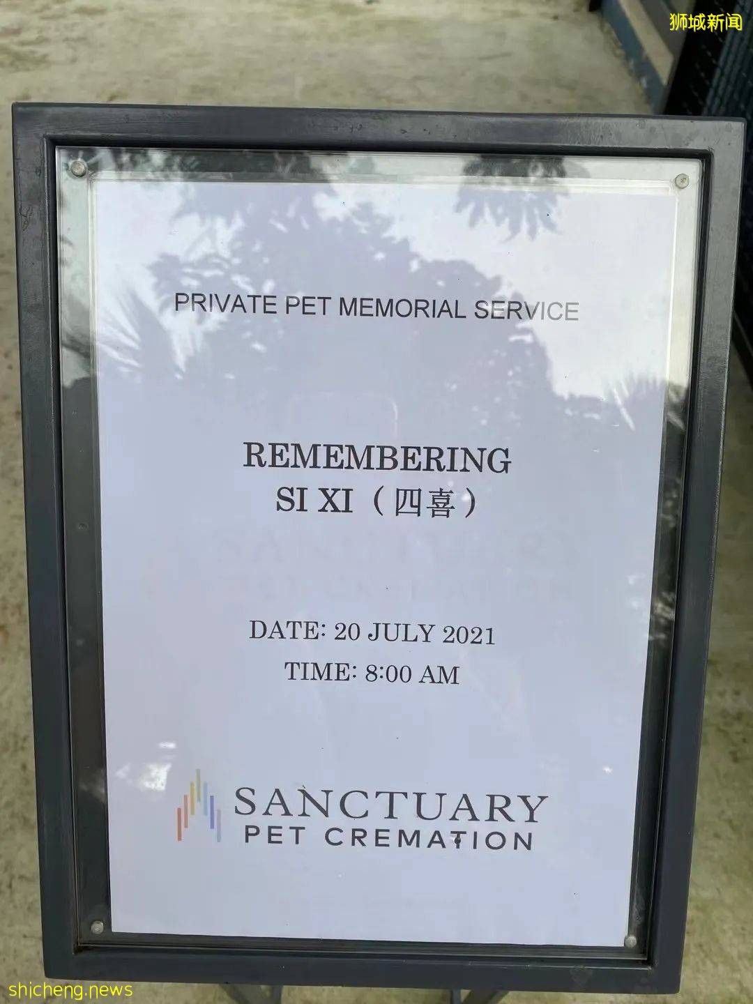 “我最亲爱的四喜走了,带走了我在新加坡16年的青春和回忆...”