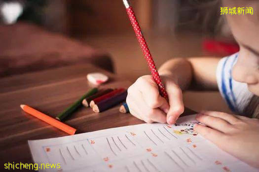 新加坡双语教育的效果,1 + 1 > 2?你了解多少