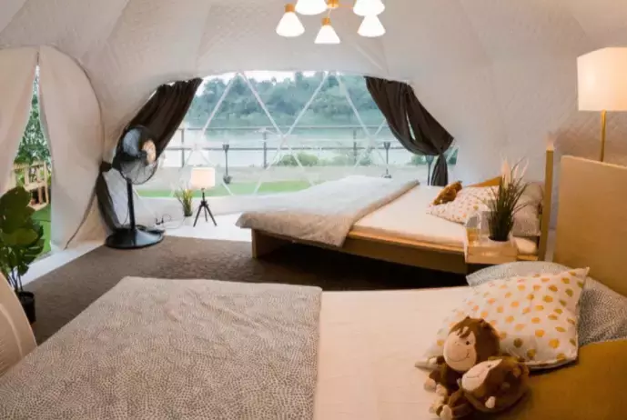 本周折扣活動!前天起免費領口罩,試劑盒降價,動物園可露營