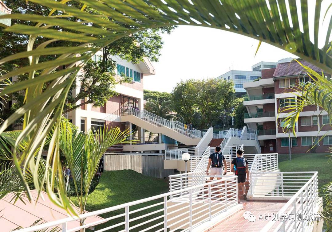 新加坡國大、南大及新大近三年理工成績錄取狀況彙總(2021)