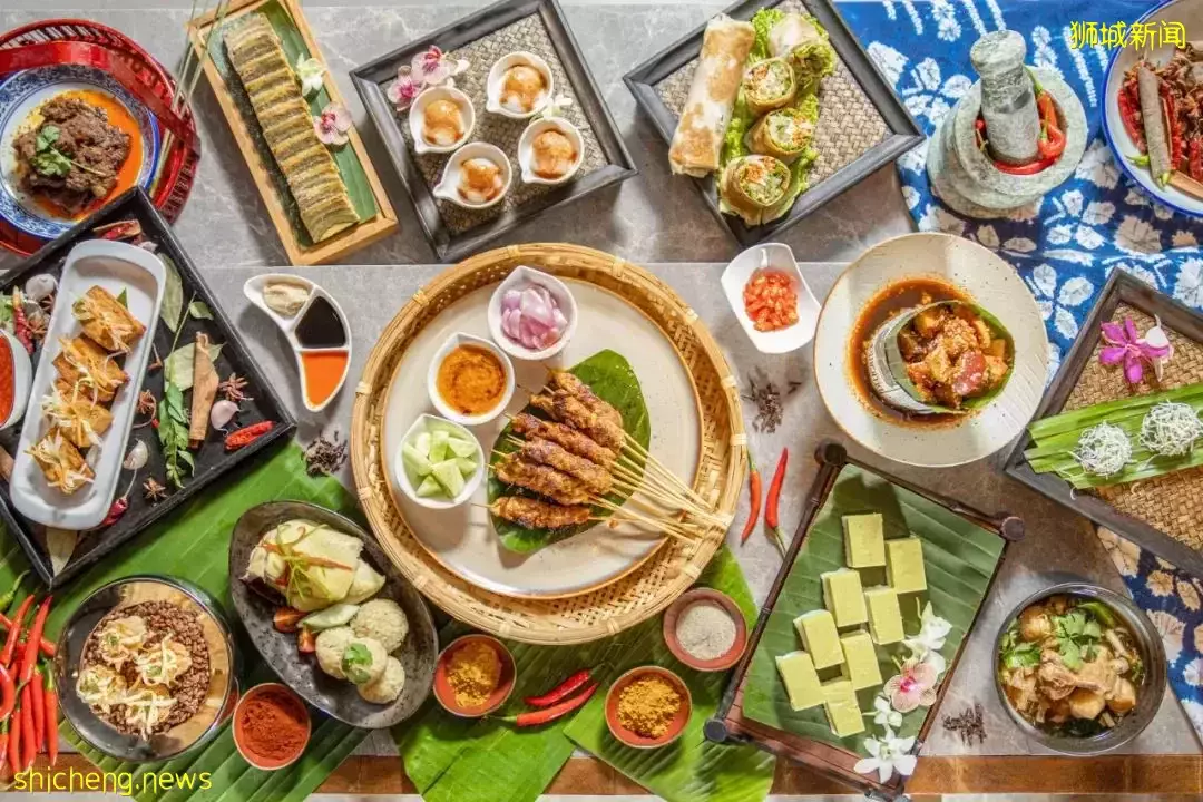 僅$99!做猩猩助養員、近距離寫生,在新加坡竟然有這麽有意義的假期營