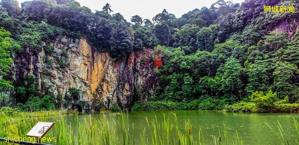 遛娃!徒步!燃烧卡路里~这个新加坡宝藏公园,翻新后更好玩