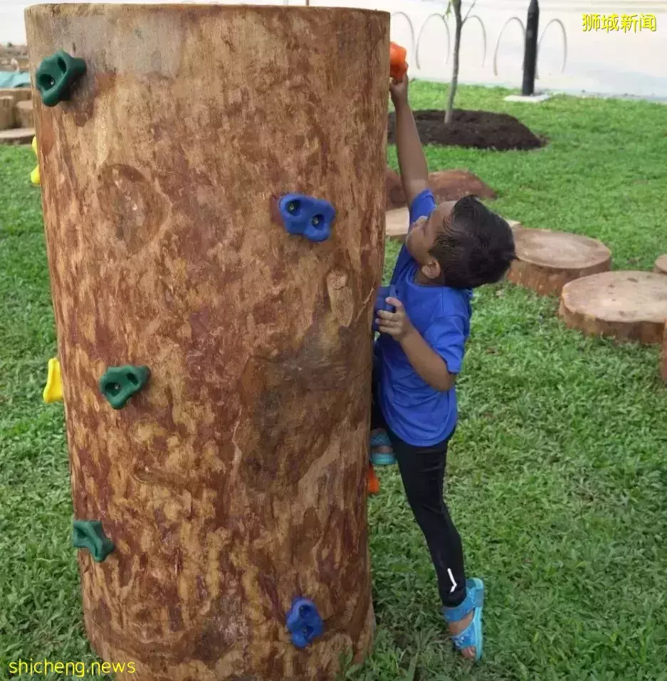 新加坡鼓励低碳出行又出新招啦