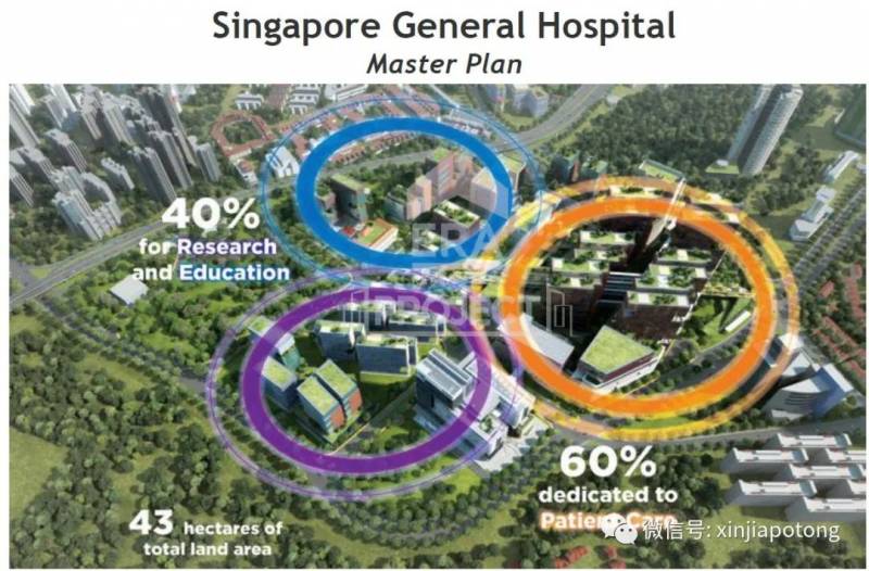 新币兑人民币暴跌!听说这几天入境新加坡的中国“游客”,可能是为了这件事