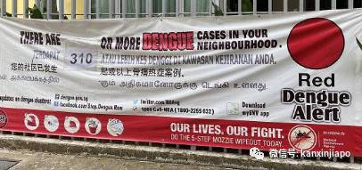 新加坡未来3月将频繁出现极端天气,史上最严重登革热情况或更严峻