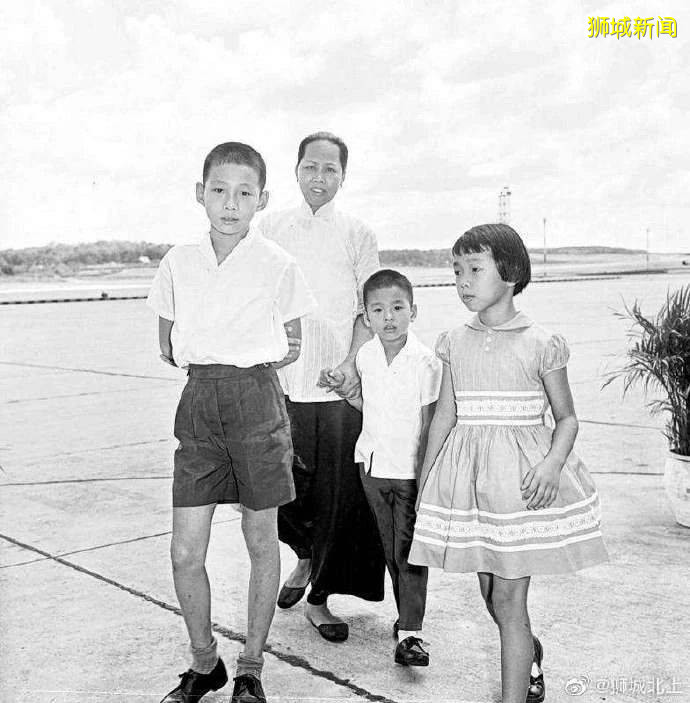 李顯龍傳｜​第八章：禍起