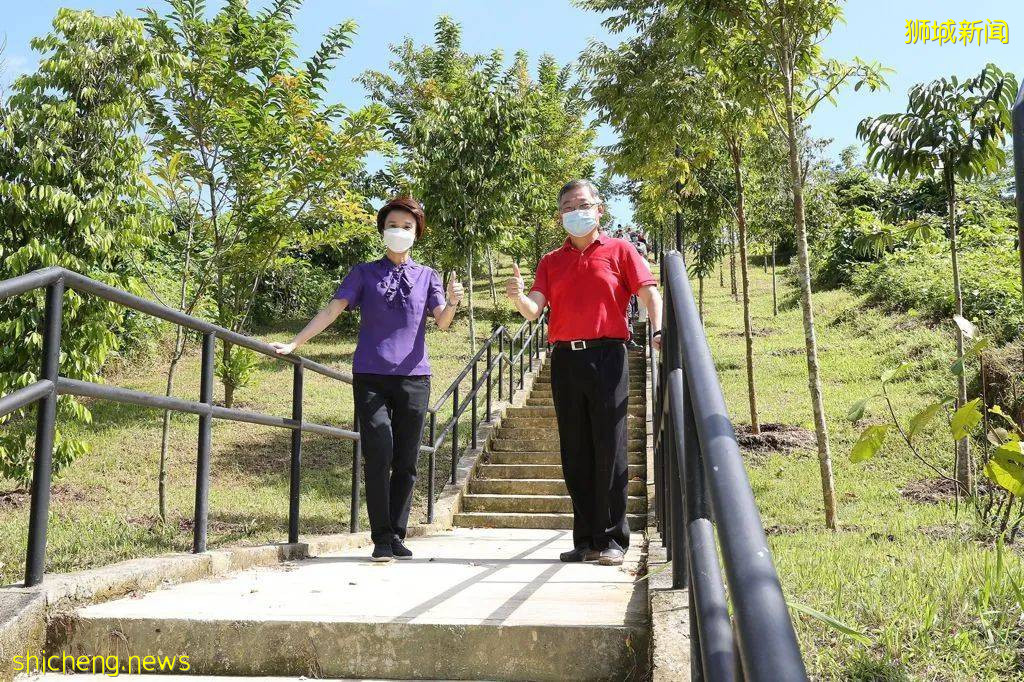 新加坡武吉甘柏公園開幕，蝴蝶園、遛狗場、山丘步道，登高遠眺好去處