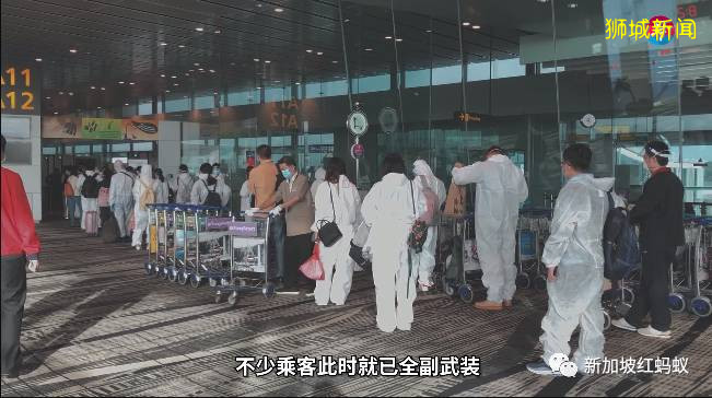 疫情期間從新加坡飛往中國,是一個怎樣的體驗