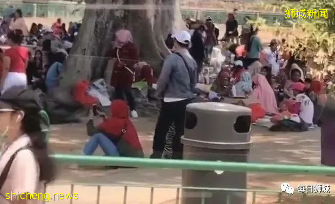 雇主需注意！人力部发布关于客工和女佣的最新规定