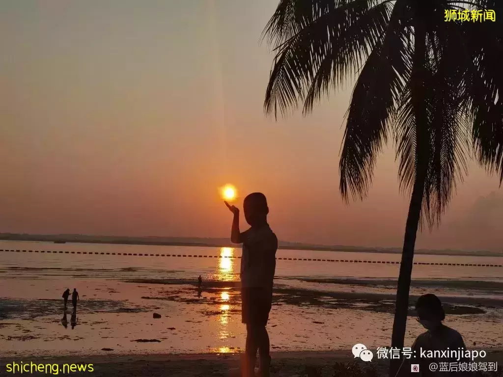 去樟宜海滩赶海吧,那里有最美的日出和从未见过的海洋生物