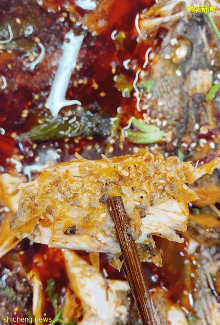 维也纳自助餐新开分店,锦鲤自助火锅火爆上线