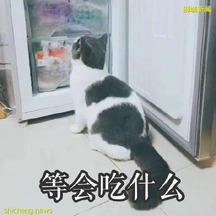 來!跟著本地人吃新加坡美食——之“娘惹菜”!