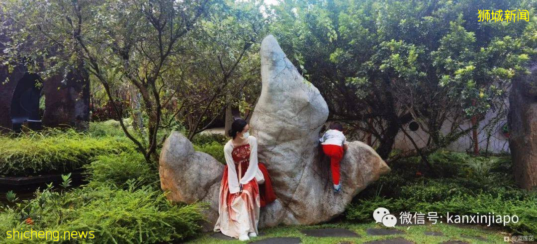 新加坡親子好去處！濱海灣～花穹～雲霧森林～空中步道半日遊