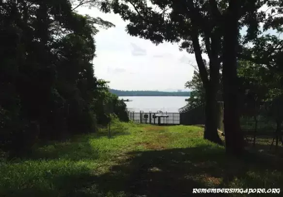 新加坡人深夜排队，翻新一年多的网红景点又开了