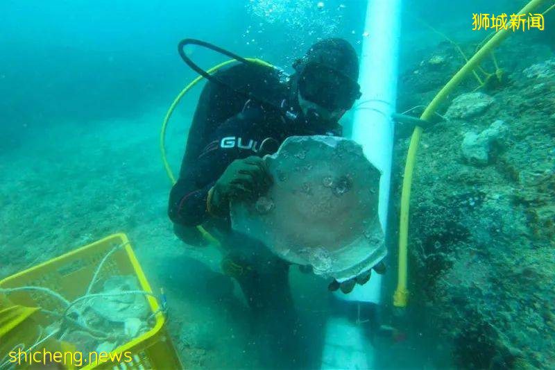 新加坡首次发现百年沉船！从中国驶往印度载满宝物