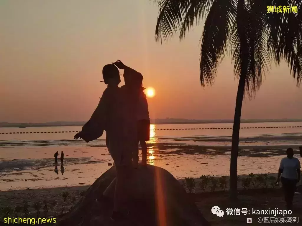 去樟宜海滩赶海吧,那里有最美的日出和从未见过的海洋生物