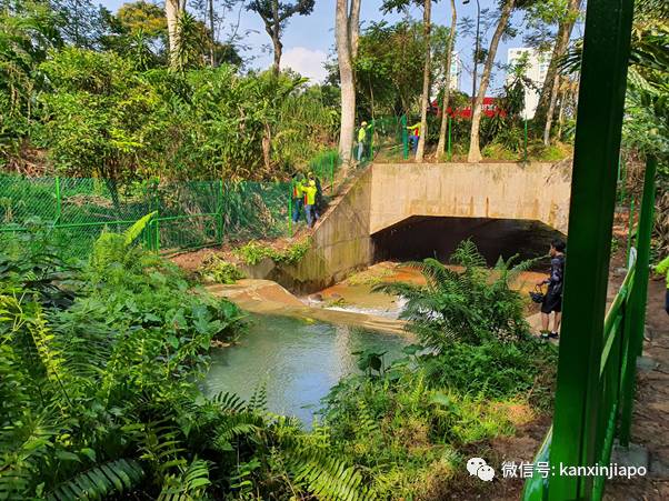 新加坡网红“瀑布”装上围栏,自然公园不再“自然”