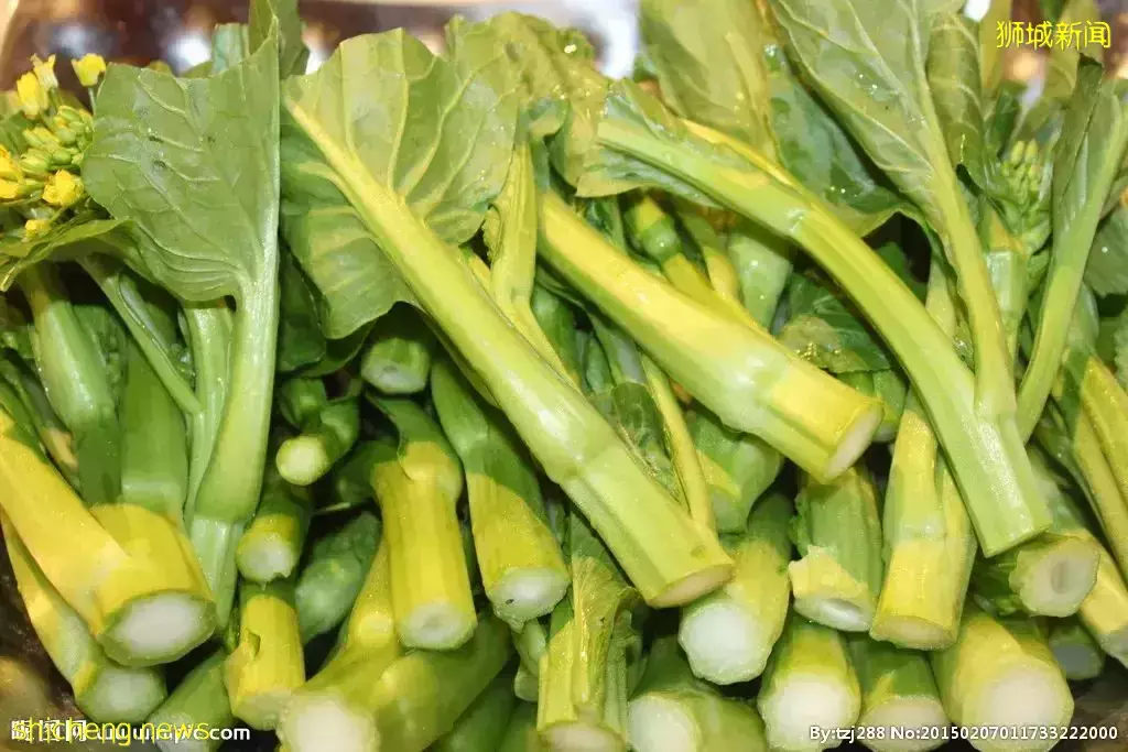 新加坡消费者遭殃,物价猛烈上涨,只因为俄乌战争