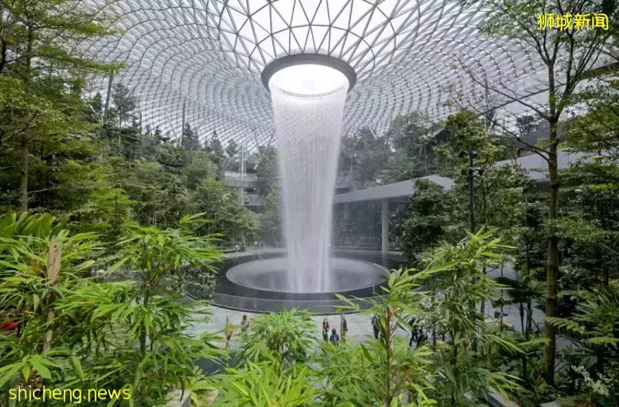 你以为的新加坡真的是你以为吗