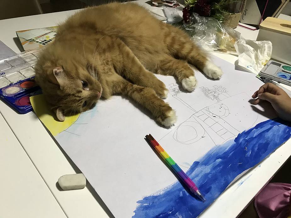 这个工作室可以让你一边绘画,一边撸猫,你想去吗