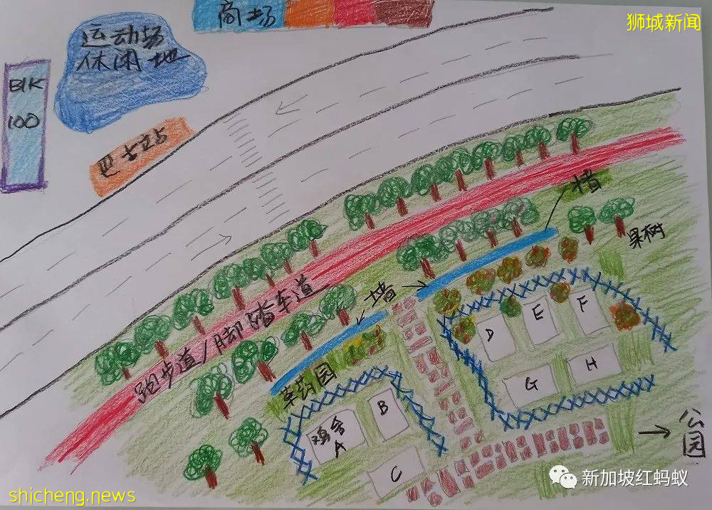 如何在新加坡政府組屋享受“田園生活”的幾點建議