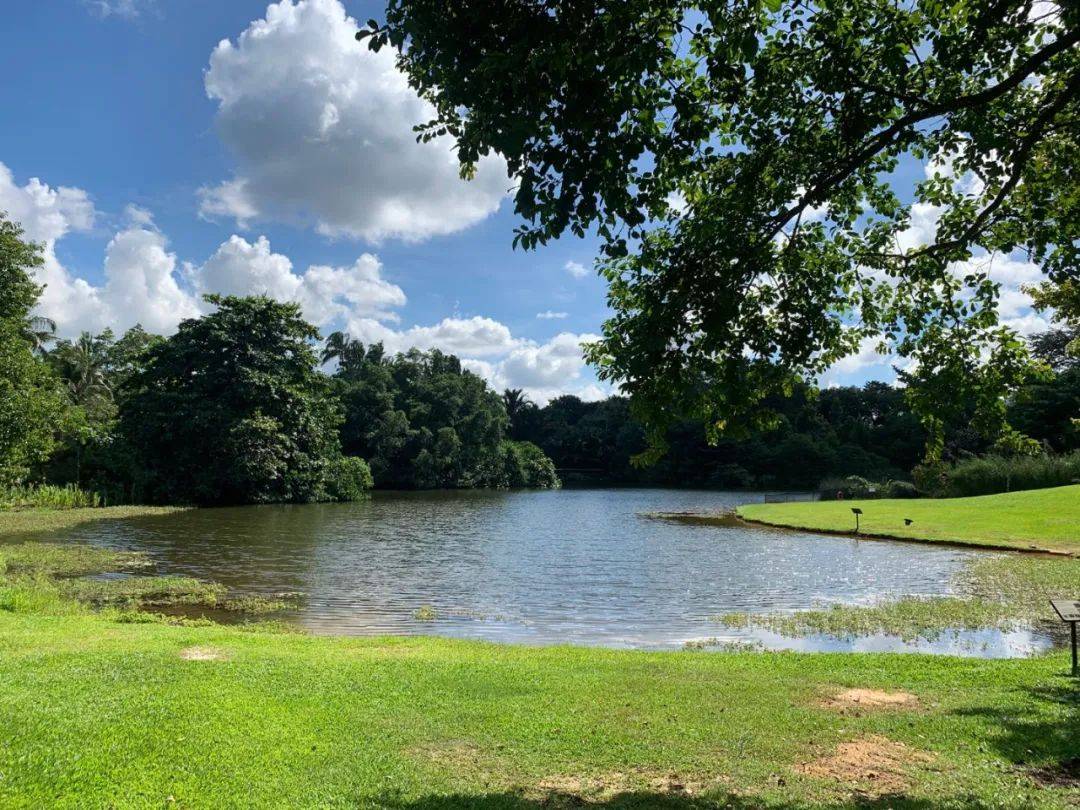 行走獅城——植物園