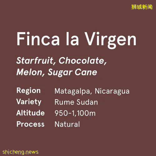 高警戒解封第二阶段第四周,你的咖啡瘾还好么