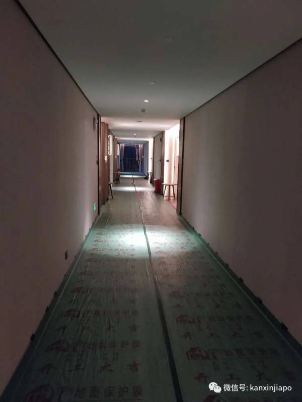 新加坡至广州最新返程记,附登机前核酸检测经验分享