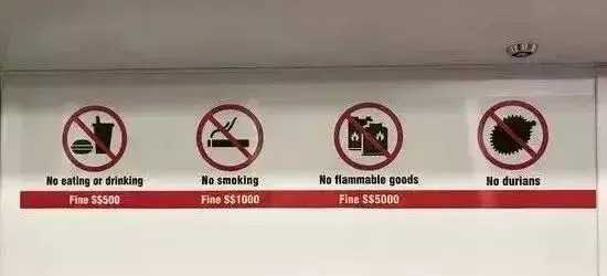 留學新加坡，不想受鞭刑，一定先看看這些