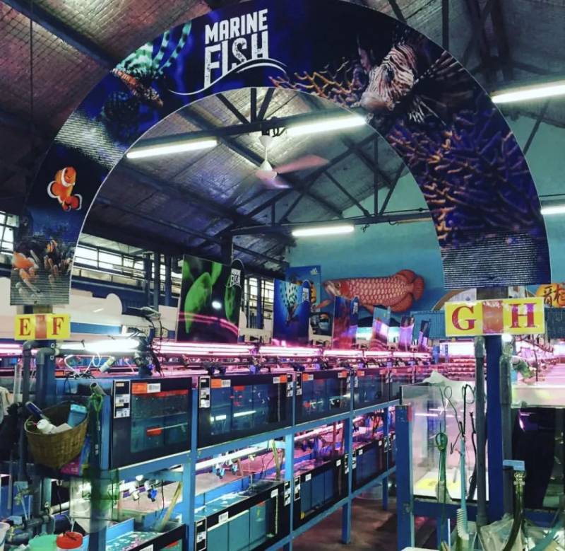 周末去哪兒玩？新加坡休閑動物農場了解一下