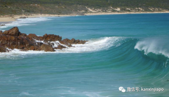 留澳的新加坡男子被海浪卷走坠海，至今生死未卜