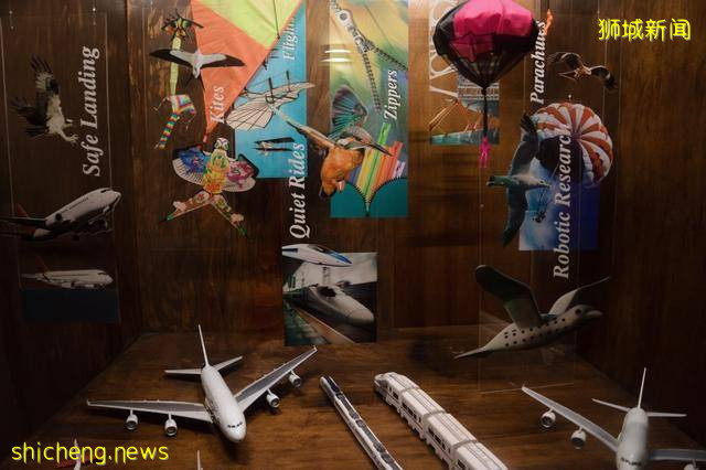 想成为“迪士尼在逃公主”？新加坡有个地方，轻易与精灵共处一室