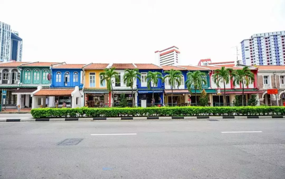 魅力獅城 行走南洋，穿越舊時光