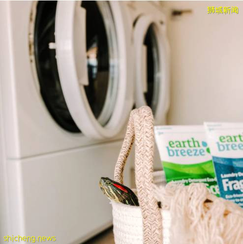 “在新加坡,一个生过孩子的女人值多少钱?”