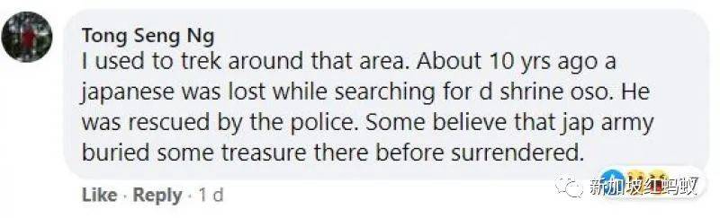 兩中學男生爲尋找日本神社遺址，在新加坡蓄水池森林迷路“神隱”