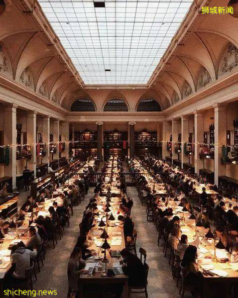 真正國際教育!身邊朋友都把孩子送這兒來了