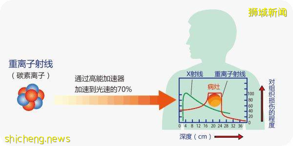 回国后该如何处理保险问题