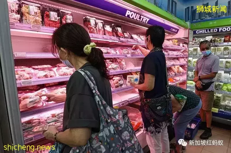 马国生鲜鸡出口禁令终点遥遥无期 狮城小贩各显神通应对“危鸡”