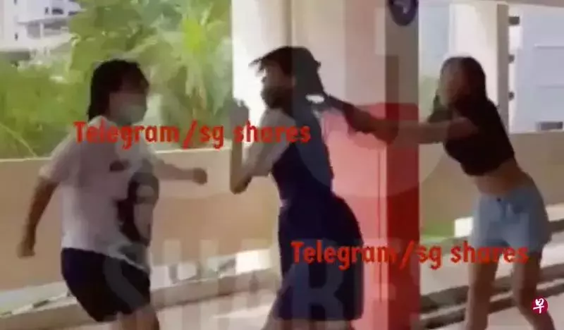 29秒被揍15次，新加坡女校生停车场被同学暴打，警方介入调查