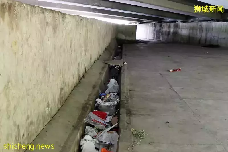 加冷桥下别有“洞”天 外籍帮佣相约聚会甚至开派对