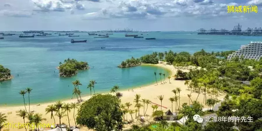 狮城丨新加坡(生活篇三)