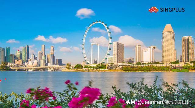 新加坡房产 | 2019年，新加坡房地产市场有哪些暴利投资机会