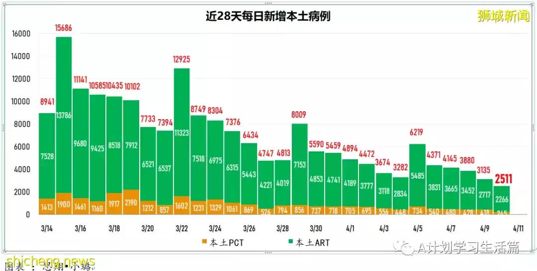 新增2568起，住院病患還有339人；新加坡冠病疫情持續好轉