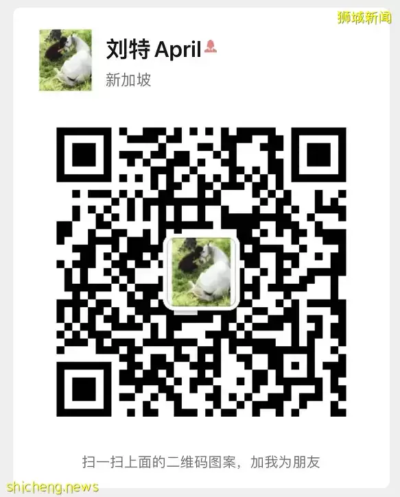 老爸老媽的“夢中情房”來了，1公裏內兩所新加坡排名前10的小學